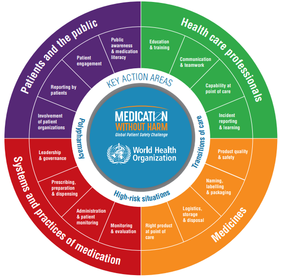 WHO's Strategic Framework of the Global Patient Safety